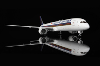 SQ Wings Boeing 787-10 Singapore 9V-SCJ