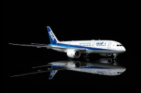 SQ Wings Boeing 787-8 All Nippon (ANA) JA802A